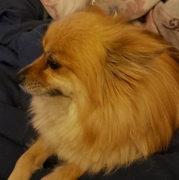 Meet your Posher, Teaera! - Picture 2 of 3